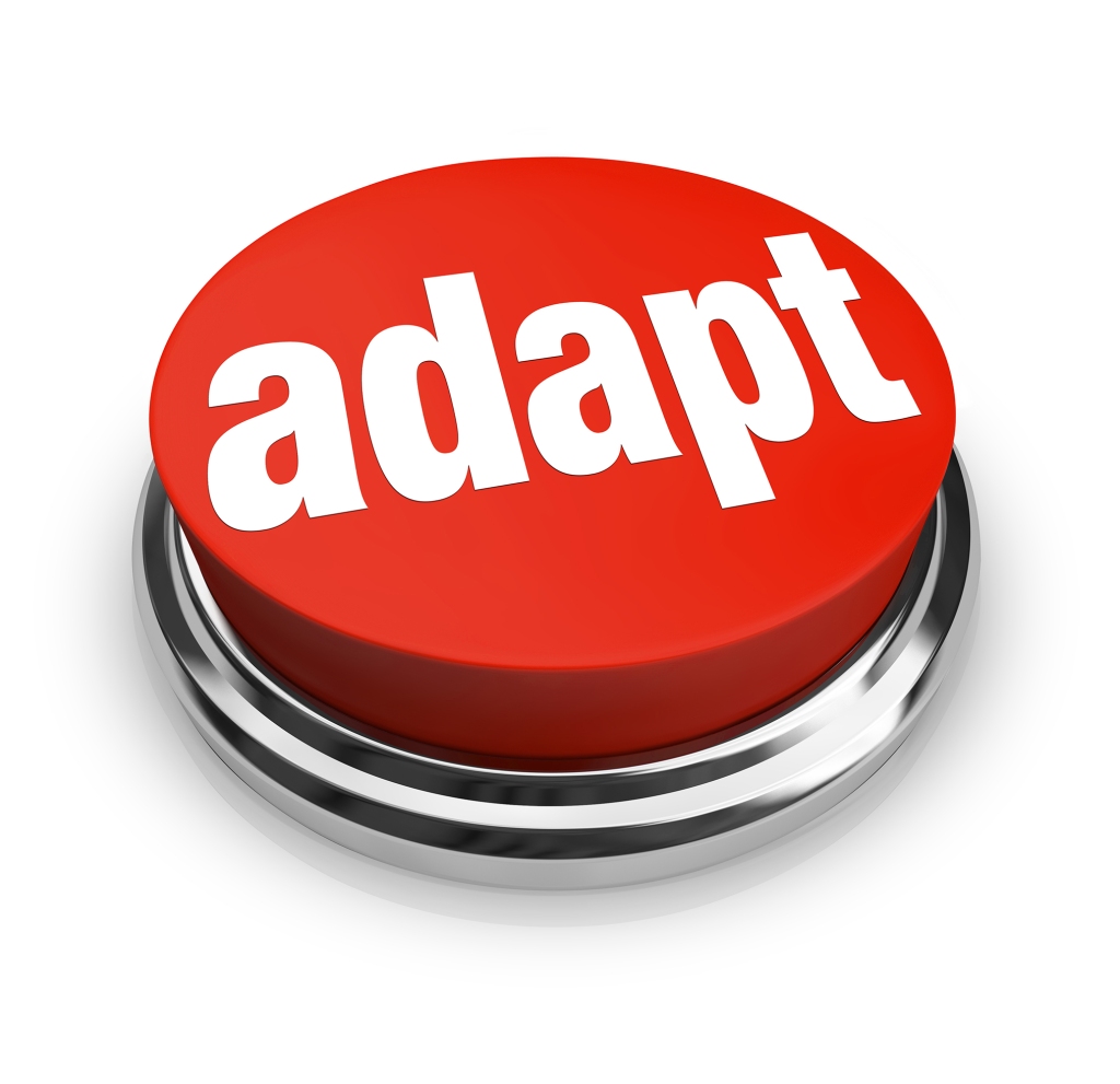 Button with the word Adapt on it